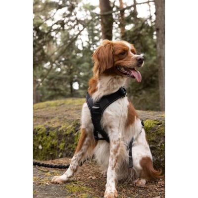 Harnais pour chien SYMBIOZ - Taille S - Design Noir/Bleu
