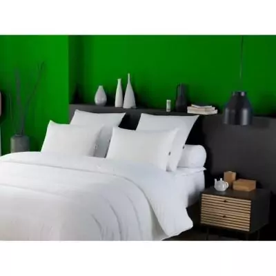 Protégez votre sommeil avec l'oreiller anti-acariens 50x70 cm de DODO Protégez votre sommeil avec l'oreiller anti-acariens 50x70 cm de DODO