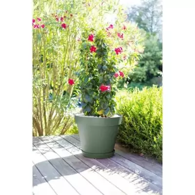 Pot de fleur rond Toscane - Ø 60 x H47 cm - 76 L - Vert laurier