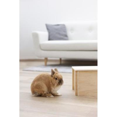 Maison pour rongeur Kerbl - 81829 - 38 x 23 x 19 cm