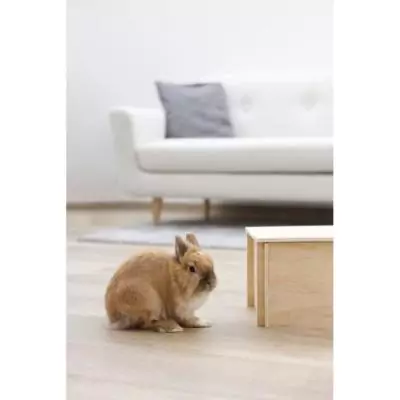 Maison pour rongeur Kerbl - 81829 - 38 x 23 x 19 cm
