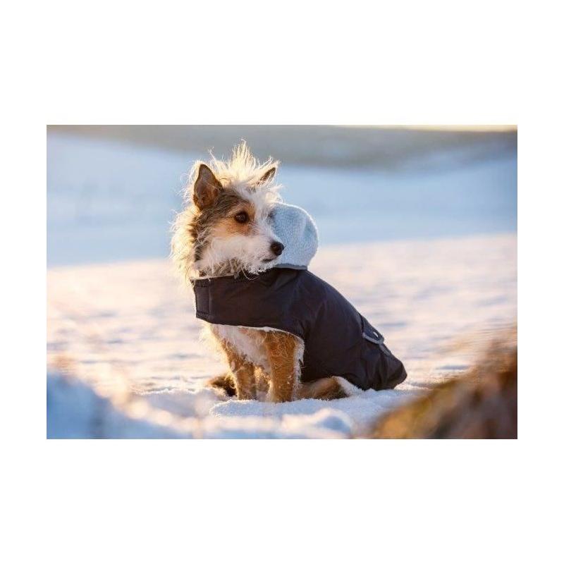 Manteau chaud pour chien Kerbl Teddy - Bleu 48 cm