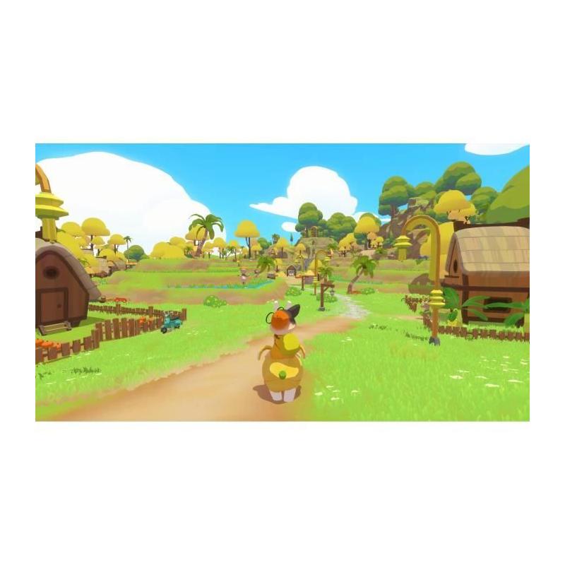 Découvrez le jeu PS5 Petit Island avec des dimensions compactes