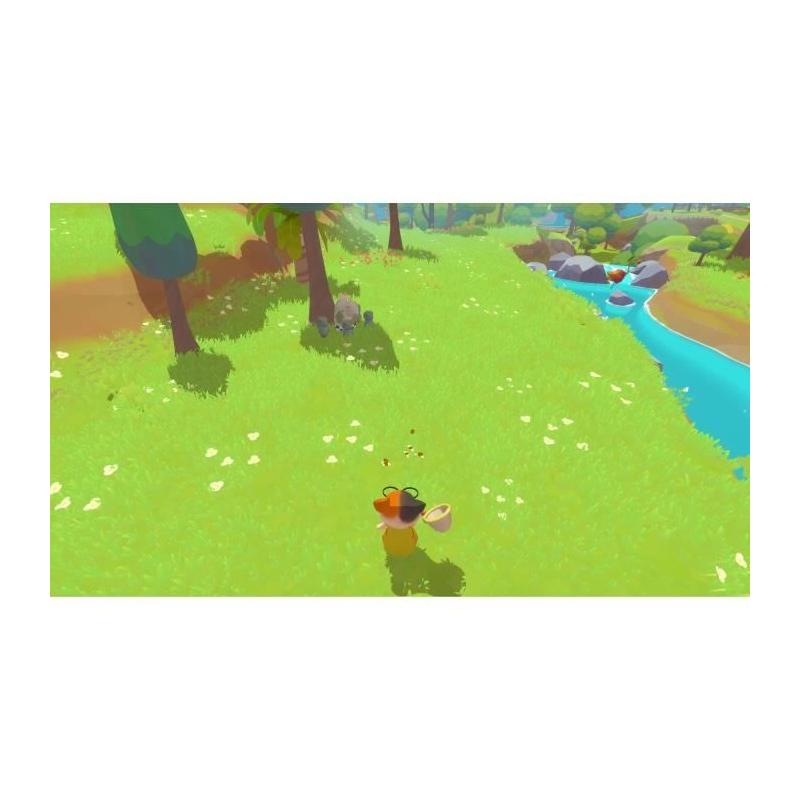 Découvrez le jeu PS5 Petit Island avec des dimensions compactes