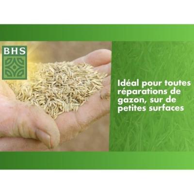 Revitalisez votre pelouse avec Gazon Réparation Top Dress' - BHS - 500g
