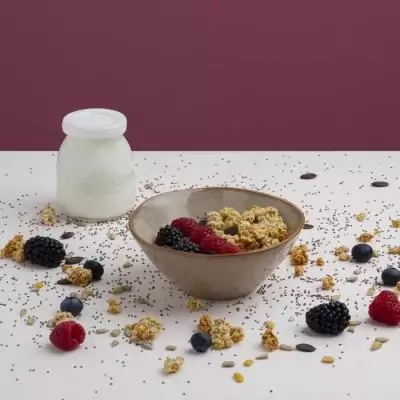 Yaourtière 12 pots HKoenig: Pratique et Compact