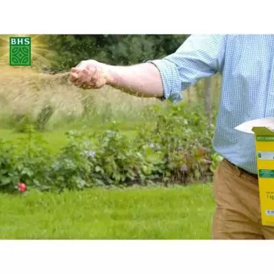 Gazon Rustique Sud - 1kg, Résistant aux conditions sèches