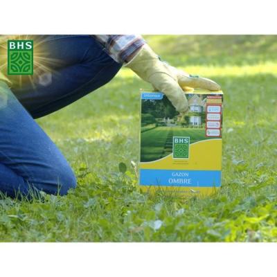 Gazon Ombre BHS 1kg | Résistant aux zones ombragées