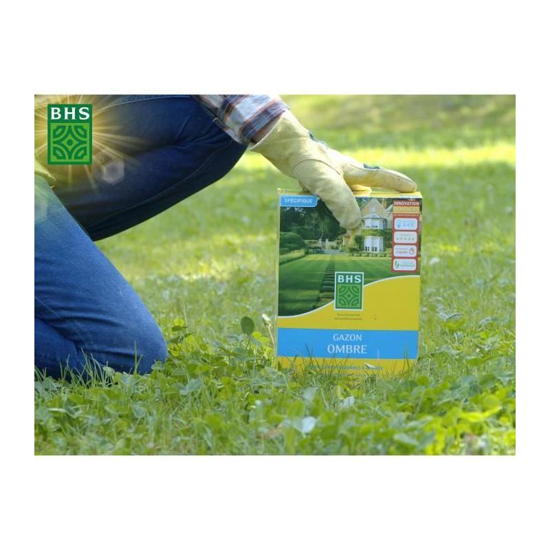 Gazon Ombre BHS 1kg | Résistant aux zones ombragées