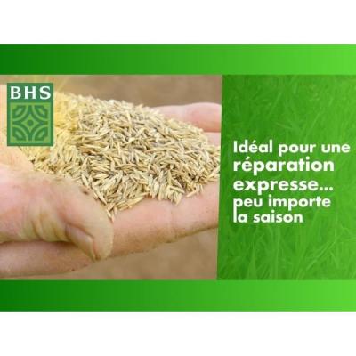 Regarnissez votre pelouse en toutes saisons avec Gazon BHS - 1 Kg