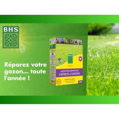 Regarnissez votre pelouse en toutes saisons avec Gazon BHS - 1 Kg