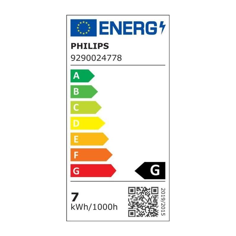 Ampoule LED connectée Philips Hue White G93 Globe - Contrôle Bluetooth, Compatible avec Alexa, Google et Homekit