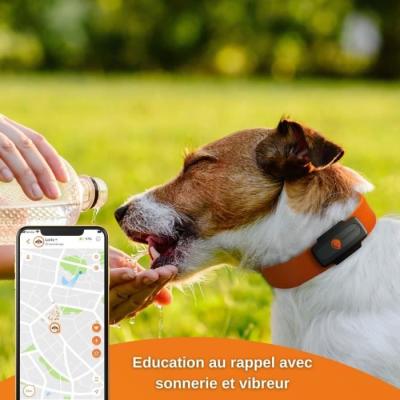 Traceur GPS pour Chien - Weenect XS (Black Edition 2023) - Idéal pour la chasse
