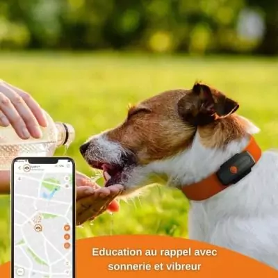 Traceur GPS pour Chien - Weenect XS (Black Edition 2023) - Idéal pour la chasse