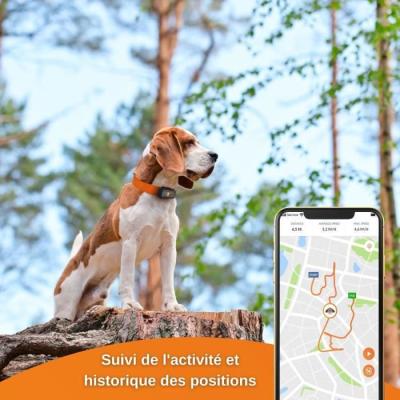 Traceur GPS pour Chien - Weenect XS (Black Edition 2023) - Idéal pour la chasse