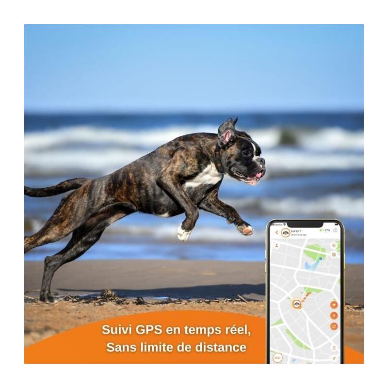 Traceur GPS pour Chien - Weenect XS (Black Edition 2023) - Idéal pour la chasse
