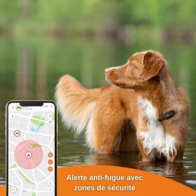 Traceur GPS pour Chien - Weenect XS (Black Edition 2023) - Idéal pour la chasse