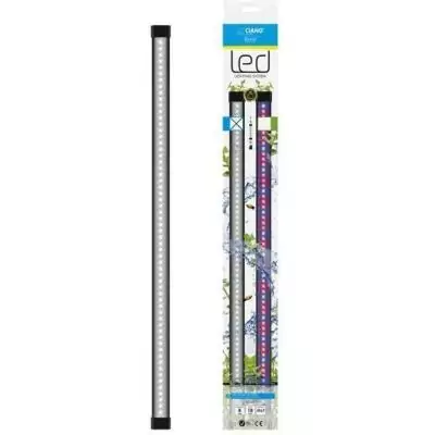 Rampe LED CIANO CLA60 avec convertisseur – Lueur 6500K