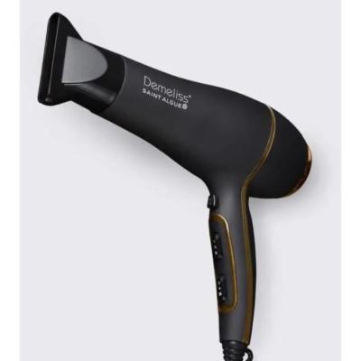 Sèche-cheveux SAINT ALGUE Demeliss Ultra 2200 - Technologie ionique - Concentrateur
