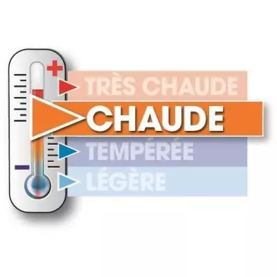 Ensemble de literie Microfibre - 1 Couette chaude 220x240 cm + 2 Oreillers 60x60 cm