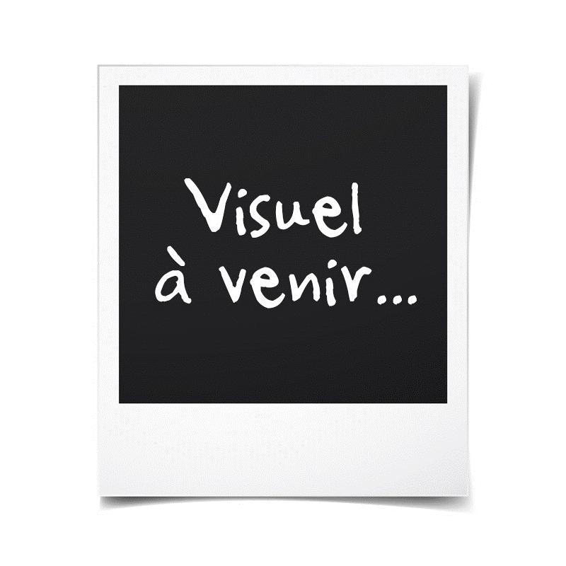 Véhicule Stella La Super Patrouille - Effets sonores et lumineux