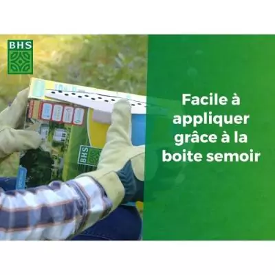 Gazon BHS Haute Résistance 5KG - Idéal pour Usage Intensif