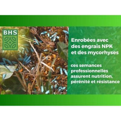 Gazon Anglais BHS 10kg - Pour Jardins Haut de Gamme