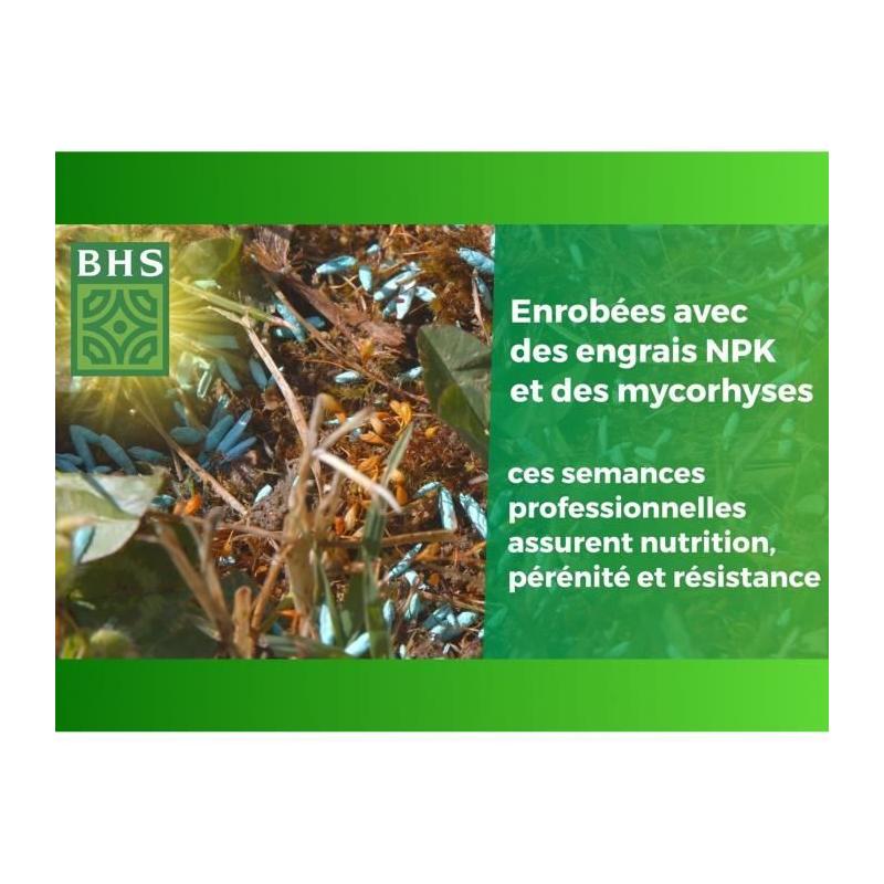 Gazon Anglais BHS 10kg - Pour Jardins Haut de Gamme