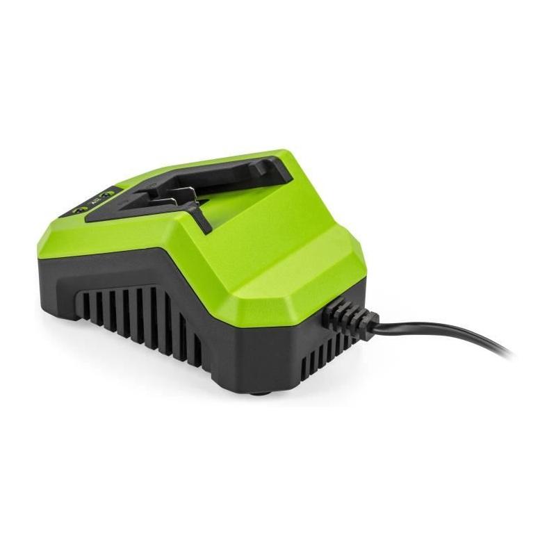 Chargeur FIELDMANN pour batterie 20V - Charge 2Ah rapide