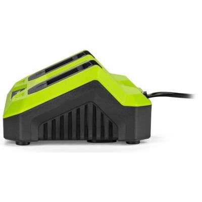 Chargeur double FIELDMANN pour batteries 20V - Charge 2Ah en 60 min - Compatible 2Ah, 4Ah