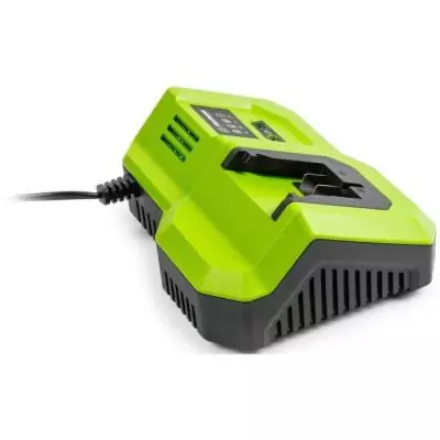 Chargeur rapide FIELDMANN pour batterie 20V - Charge 2Ah en 30 min