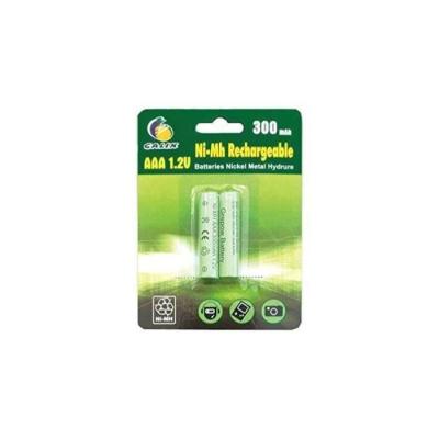 Lot de 2 piles rechargeables AAA - Ni-Mh 1,2V 300mAh