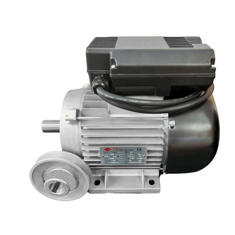 Moteur électrique 3CV/230V avec poulie - DOMAC: Puissance et fiabilité