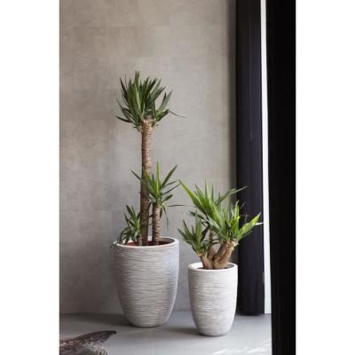 Jardinière élégante pour plantes - Ivoire 36 x 47 cm