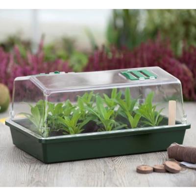 Mini-serre rigide - Couvercle ventilé - H18x37x24 cm - Vert
