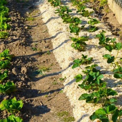 Paille de chanvre UAB 100L pour un potager protégé et un sol enrichi
