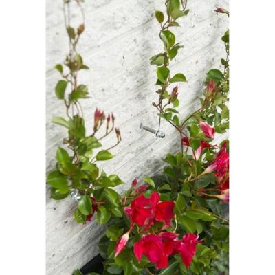 Treillis métallique NATURE - Kit de palissage plantes grimpantes - Ø1,8 mm x 10 m