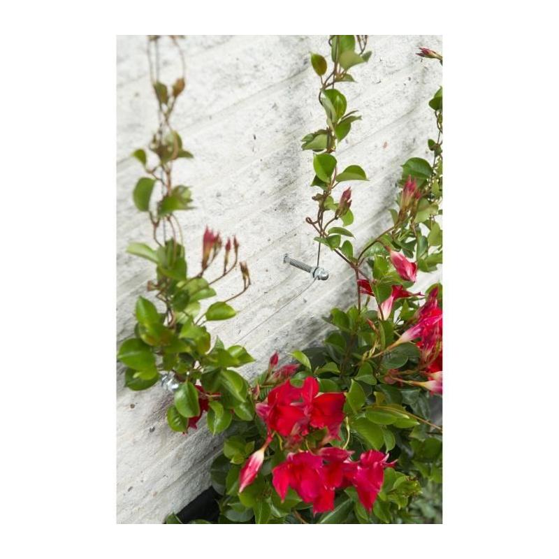 Treillis métallique NATURE - Kit de palissage plantes grimpantes - Ø1,8 mm x 10 m