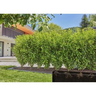 Extension de tuyau à goutteurs incorporés - GARDENA - 25 m - Enterré et en surface