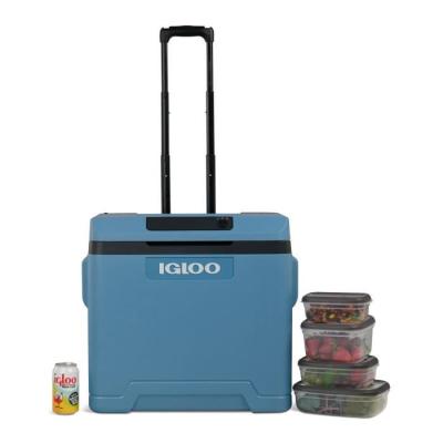 Glacière électrique IGLOO 42L - Moderne bleu