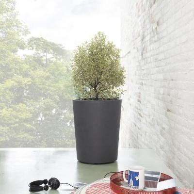 Pot de fleur Vase - DEROMA - Millennium R - Anthracite - 53 cm - Réservoir d'eau