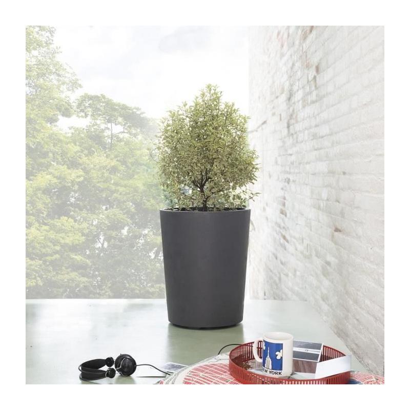Pot de fleur Vase - DEROMA - Millennium R - Anthracite - 53 cm - Réservoir d'eau