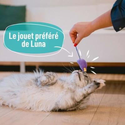 7 jouets pour Chat - AIMÉ, Jouet à Friandise de Taille Compacte