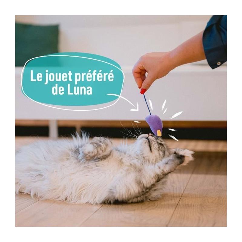 7 jouets pour Chat - AIMÉ, Jouet à Friandise de Taille Compacte
