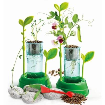 Découverte de la botanique et hydroponie - Kit scientifique innovant