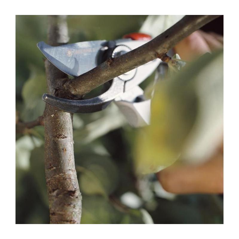 Sécateur GARDENA BP 50 Premium - Coupe Ø24mm - Lames inox - Ergonomique - Garantie 25 ans