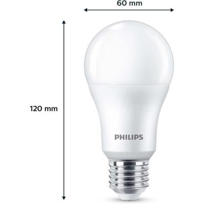 Ampoule LED PHILIPS 100 W - Blanc froid - Lot de 3