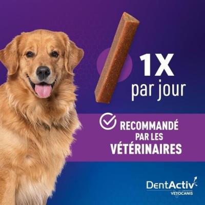 DentActiv - 7 Bâtonnets VETOCANIS pour Chien 15kg+