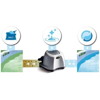 Stérilisateur au sel INTEX QS1200 - Nettoyage piscine jusqu'à 56,8m³