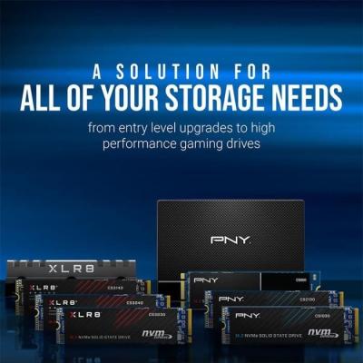 SSD PNY CS1030 - 500 Go M.2 2280 - Compact et Performant